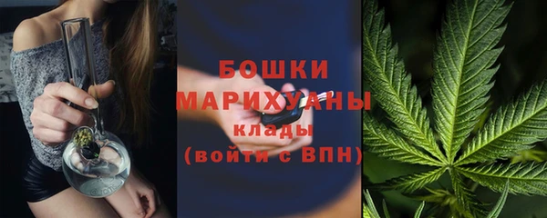 гашиш Богданович