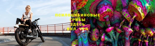 гашиш Богданович