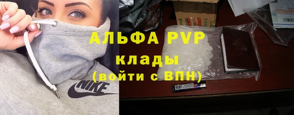спиды Богородск