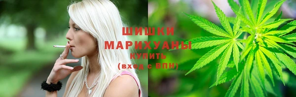 спиды Богородск