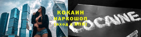 jwh Богородицк