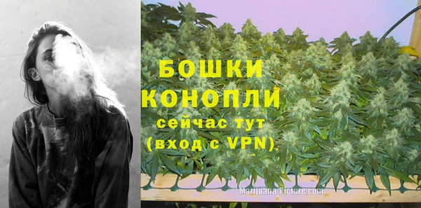 гашиш Богданович
