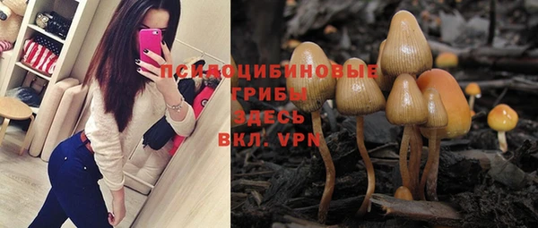 гашиш Богданович
