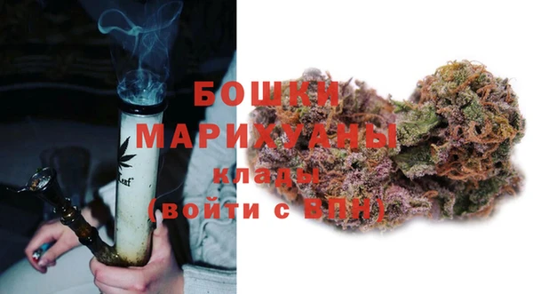 гашиш Богданович