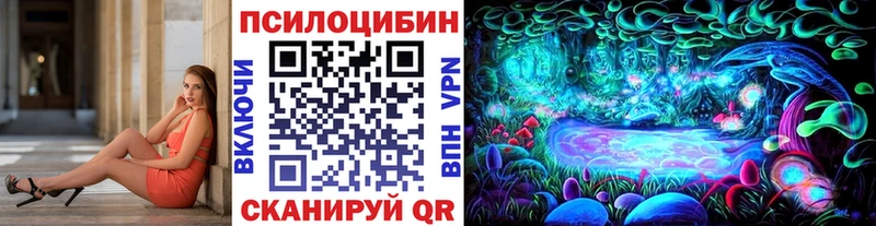 сколько стоит  Ковдор  Галлюциногенные грибы Psilocybine cubensis 