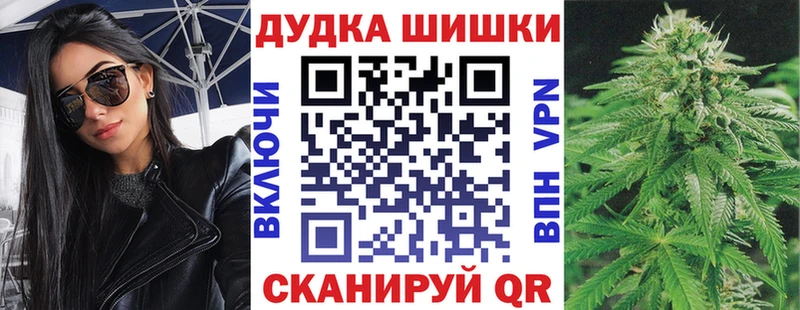 Бошки Шишки White Widow  где найти наркотики  Ковдор 